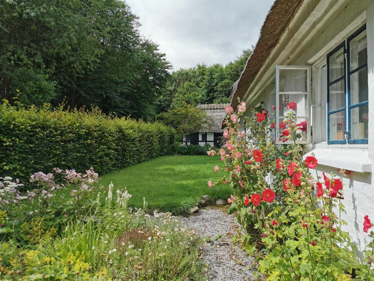 Plantepressen B&B Fåborg 외부 사진